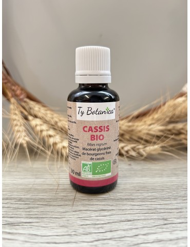 Macérat de Cassis bio