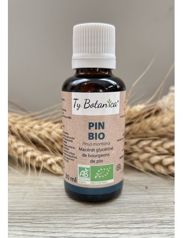 Macérat de Pin bio